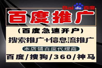 sem百度竞价成功案例：如何精准投放广告
